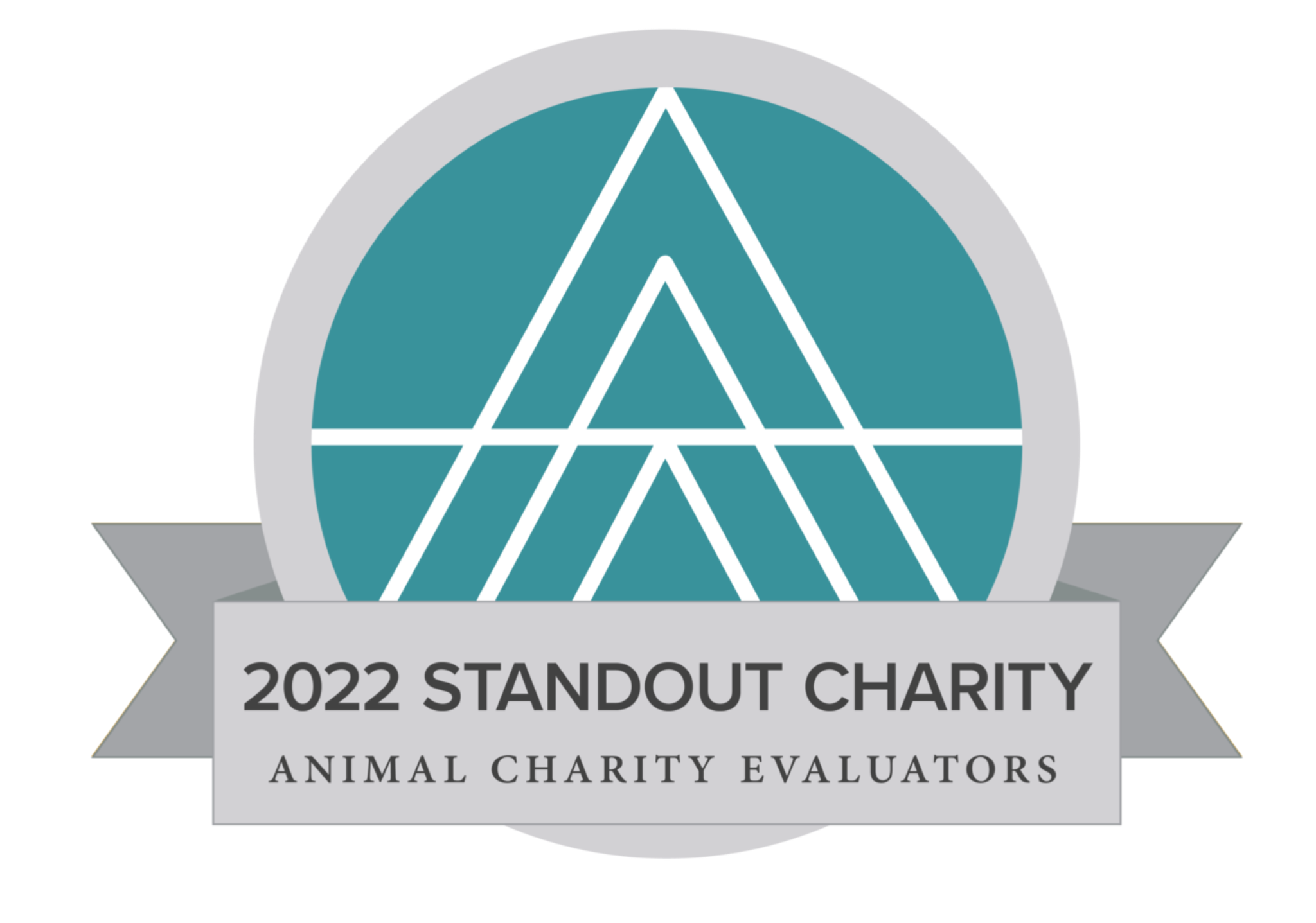 2022 Standout Charity - MII