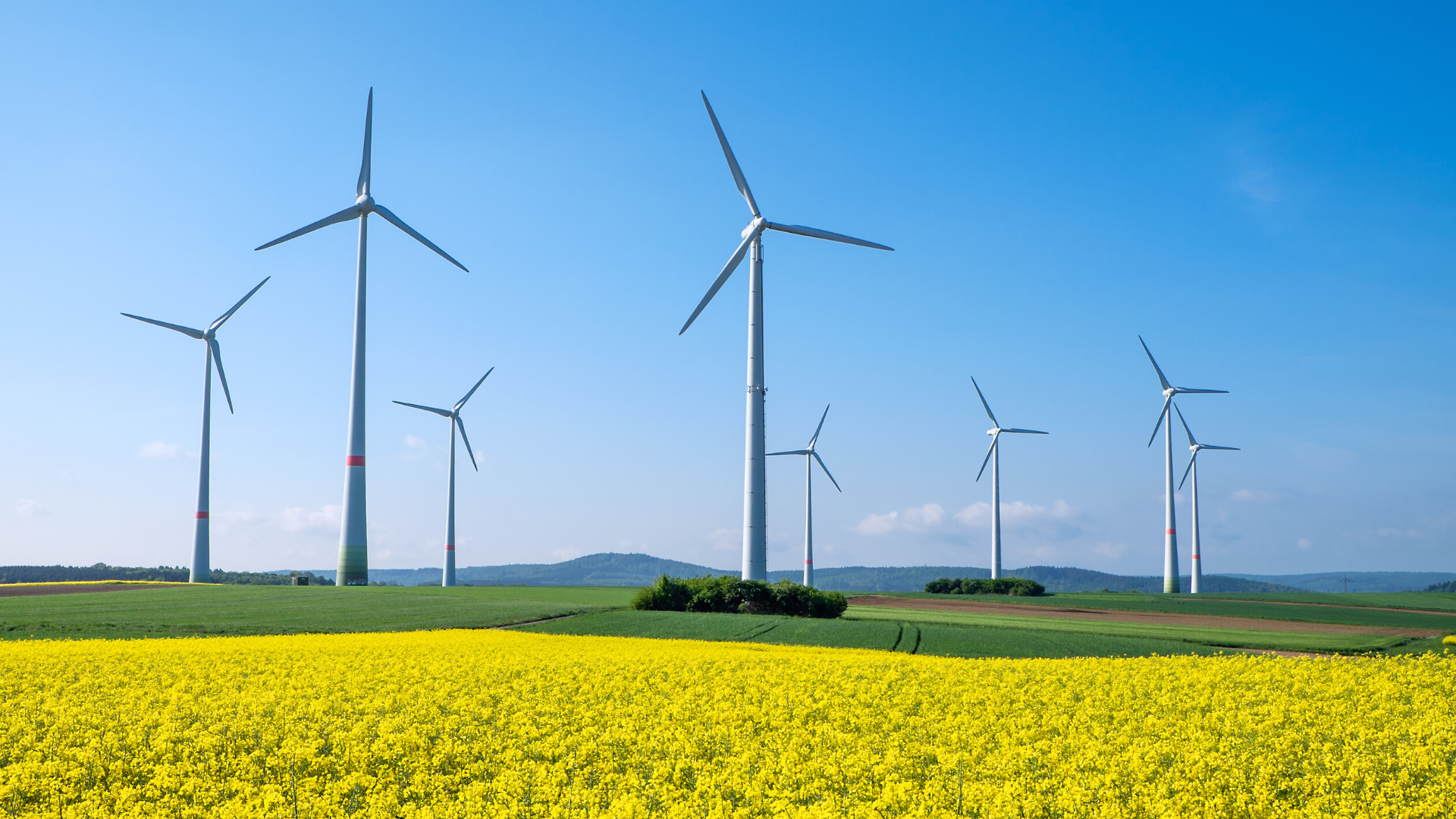 Environment Data Coalition - Windmills