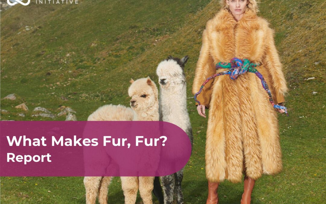 What Makes Fur, Fur? Report