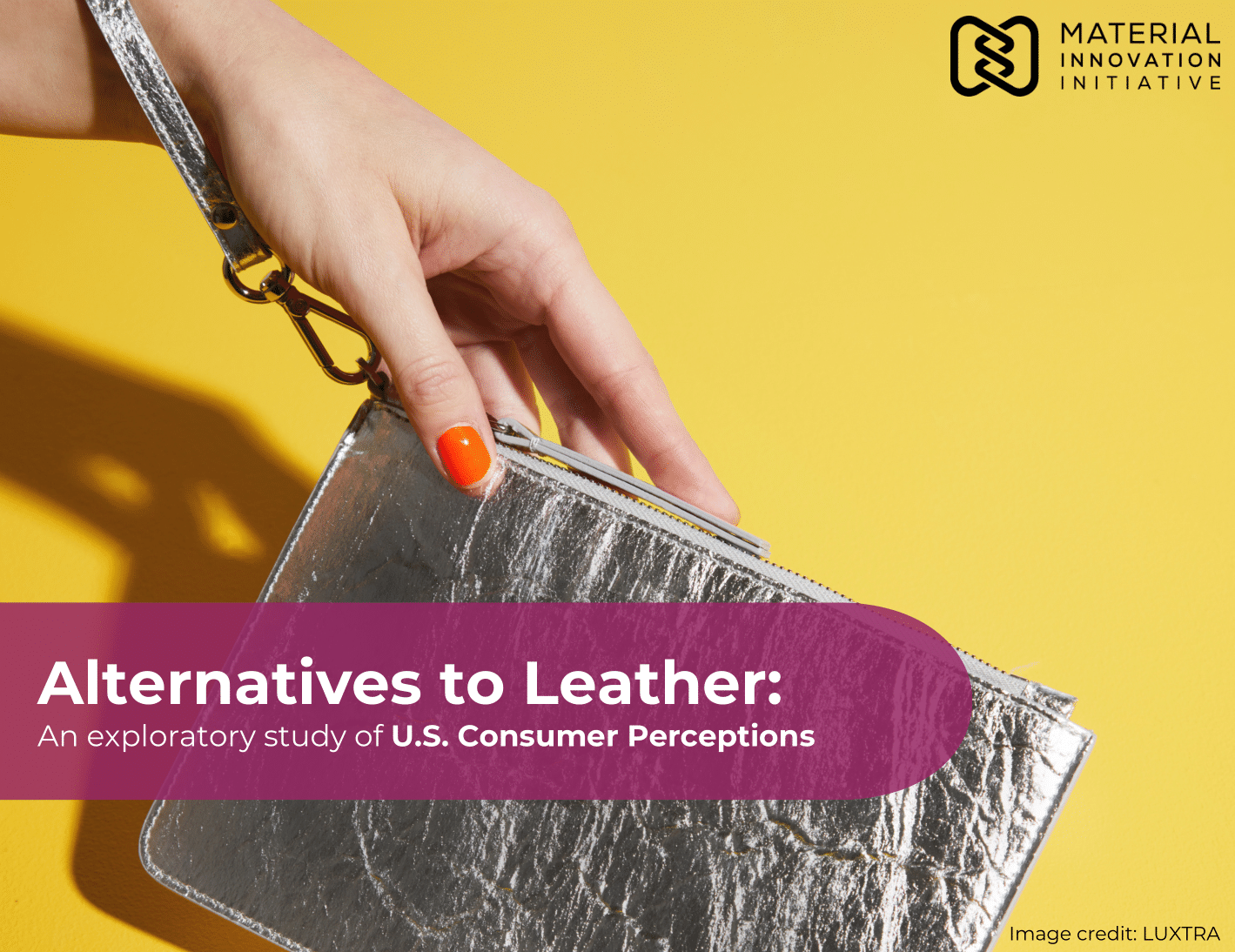 Alternatives to Leather: An exploratory study of U.S. Consumer Perceptions Report Hero Photo