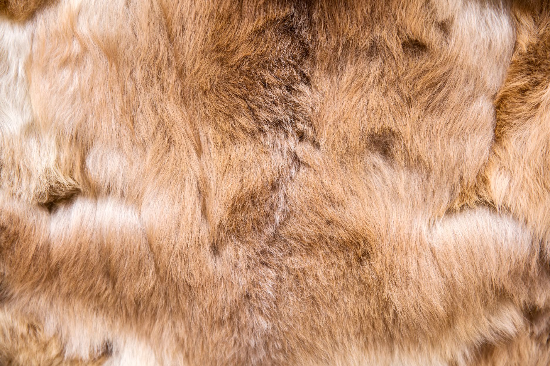 Next Gen Animal Fur - Material Innovation