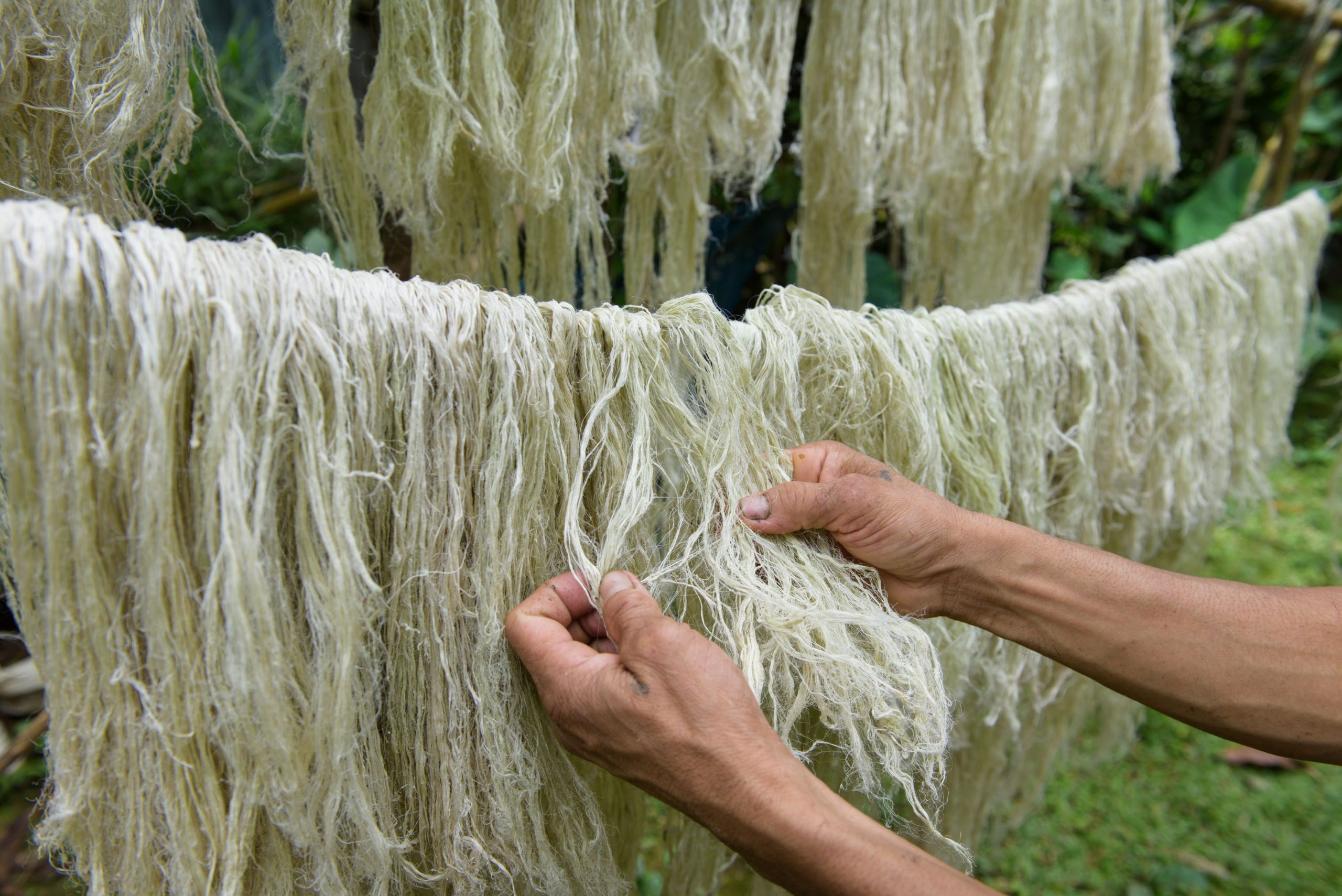 Drying fibres - Credit - Ananas Anam