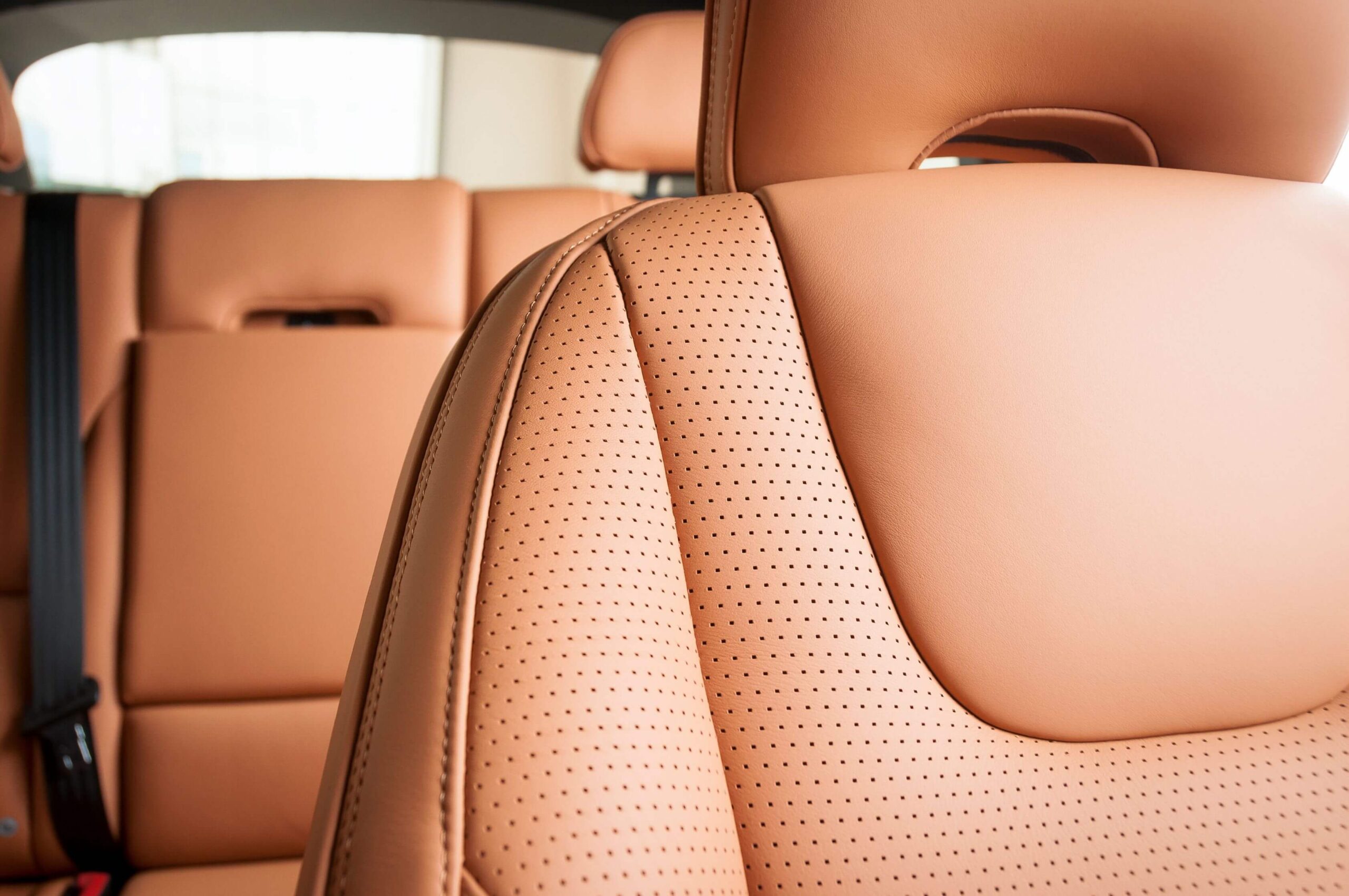 Leather-Interior-Next-Gen-Leather-Plant-Based Leather interior