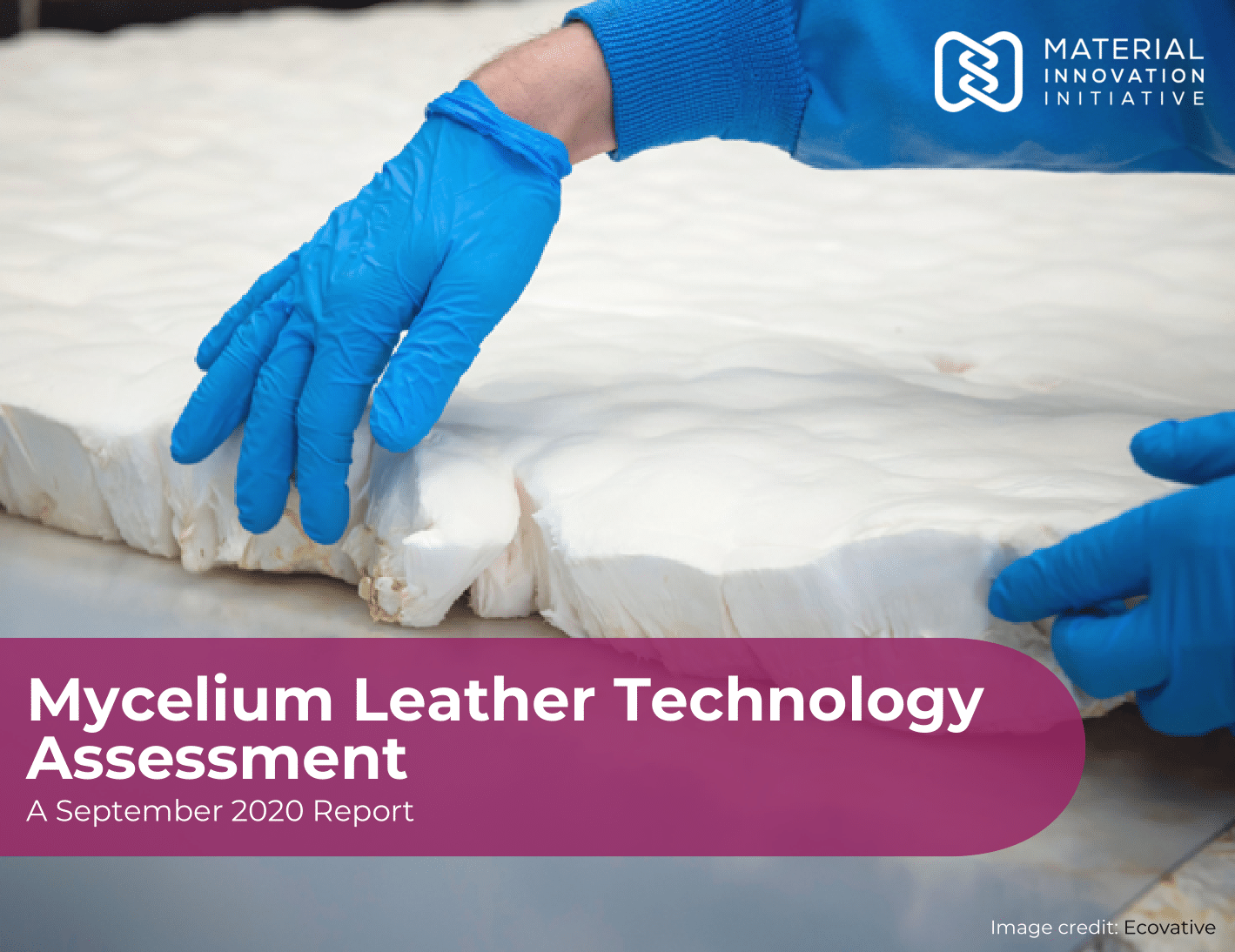 Mycelium Leather Technology Assessment Report Hero Photo
