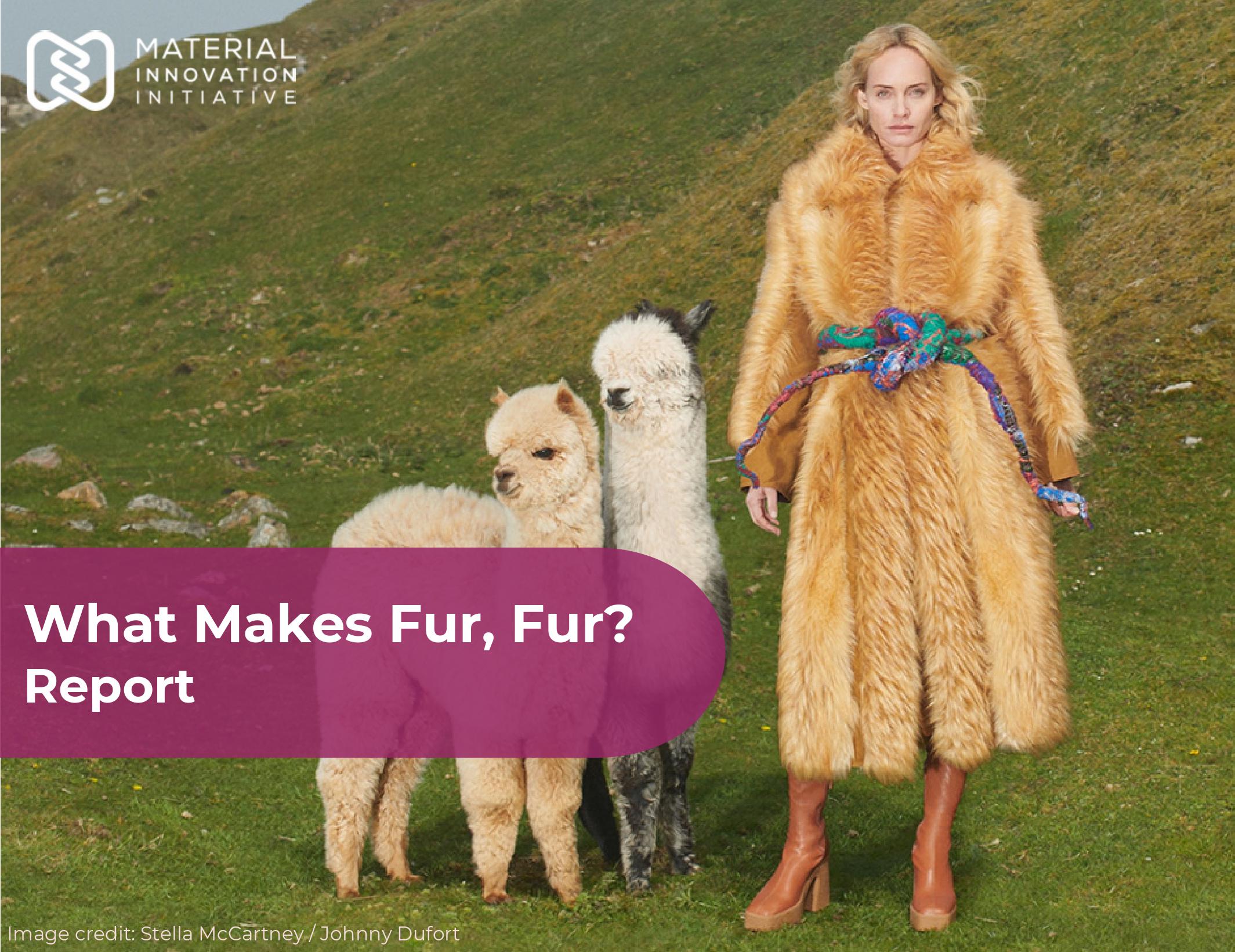 What makes fur, fur? Report hero photo.